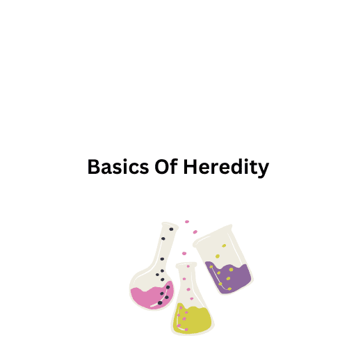 Basics Of Heredity